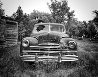 A Cat Named Plymouth - near Rugby, ND