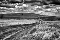Farm Road, near Rugby, ND
