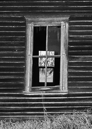 Window View - North Dakota